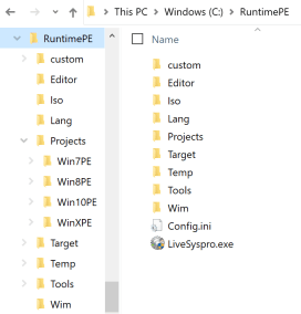 RuntimePE
