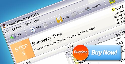 Runtime Software GetDataBack for NTFS